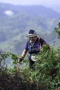 BIB: 
                            <button type="button" onclick="openModal(24766346)" class="btn btn-primary btn-sm float-right btn-popup" data-toggle="modal" data-target=".modal-high-quality">
                        <i class="fas fa-shopping-cart"></i> Add to Cart
                    </button>
                                            <button type="button" onclick="isThisMe(24766346, true)" class="btn btn-success btn-sm float-right btn-popup btn-isme hidden" data-toggle="tooltip" data-placement="bottom" title="นี่คือรูปของคุณใช่ไหม คลิกที่นี่เพื่อเอาเข้าอัลบั้ม">
                        <i class="fas fa-plus"></i> Add to album
                    </button>
                    <button type="button" onclick="isThisMe(24766346, false)" class="btn btn-warning btn-sm float-right btn-popup btn-isnotme hidden">
                        <i class="fas fa-ban"></i> Remove from album
                    </button>